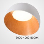 Потолочный светильник NORDA B White Трехцветный свет ImperiumLoft 224016-23