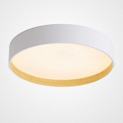 Потолочный светильник NETTY D40 White ImperiumLoft 224019-23