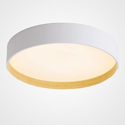 Потолочный светильник NETTY D50 White ImperiumLoft 224020-23