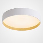 Потолочный светильник NETTY D50 White ImperiumLoft 224020-23