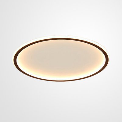 Светодиодный потолочный светильник LACEY D50 ImperiumLoft 224324-26