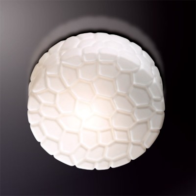 Светильник настенно-потолочный Odeon light 2246/2A LUNO Светильник настенно-потолочный Odeon light 2246/2A LUNO