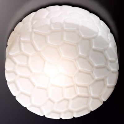 Светильник настенно-потолочный Odeon light 2246/2C LUNO Светильник настенно-потолочный Odeon light 2246/2C LUNO