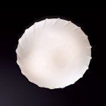 Светильник настенно-потолочный Odeon light 2247/2A OPAL