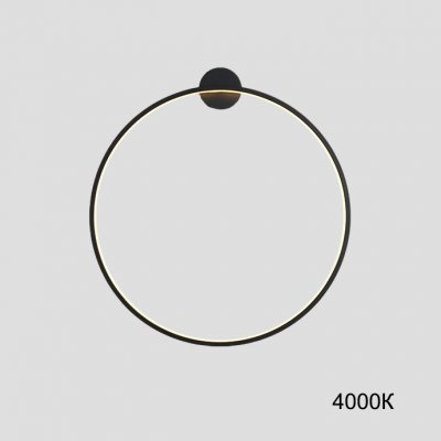 Настенный светильник GUARD B D60 4000К ImperiumLoft 226506-23