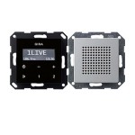 Gira E22 Алюминий Радио скрытого монтажа (G2280203)