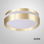 Потолочный светильник FAM 4000К ImperiumLoft 228538-23