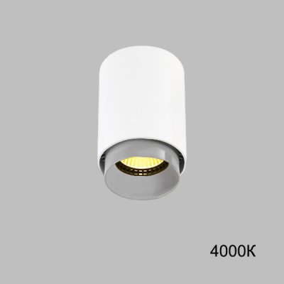Точечный светильник RESTON White Grey 4000К ImperiumLoft 228564-23 Точечный светильник RESTON White Grey 4000К ImperiumLoft 228564-23
