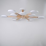Потолочный светильник TURNA L12 White ImperiumLoft 228851-26