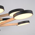 Подвесная люстра TURNA DBL L10 Black ImperiumLoft 229085-26