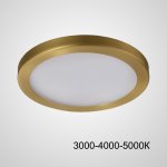 Точечный светодиодный светильник HEIN D10 Brass Трехцветный свет ImperiumLoft 229206-23