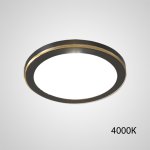 Точечный светодиодный светильник HEIN D10 Black 4000К ImperiumLoft 229211-23