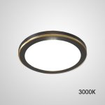 Точечный светодиодный светильник HEIN D12 Black 3000К ImperiumLoft 229213-23