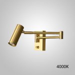 Настенный светильник BOTVID Brass 4000К ImperiumLoft 231009-23