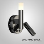 Настенный светильник FEDDE B WALL B Трехцветный свет ImperiumLoft 231040-23