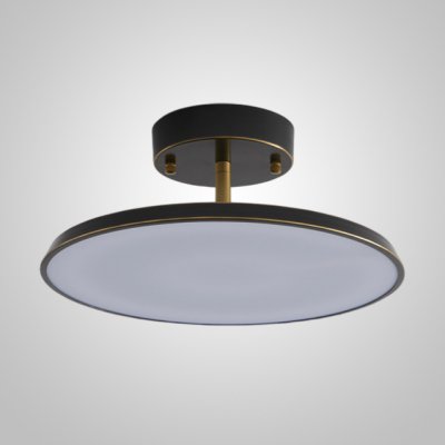 Потолочный светильник BIRK D20 Black ImperiumLoft 231060-23