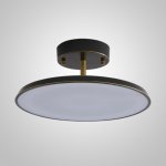 Потолочный светильник BIRK D20 Black ImperiumLoft 231060-23