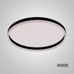 Потолочный светильник MONET D80 Black 4000К ImperiumLoft 231174-23
