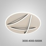 Потолочный светильник HAFTOR D50 Black Трехцветный свет ImperiumLoft 231219-23