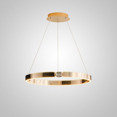 Подвесная люстра SELLIF RING D50 Brass ImperiumLoft 231755-23