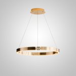 Подвесная люстра SELLIF RING D50 Brass ImperiumLoft 231755-23