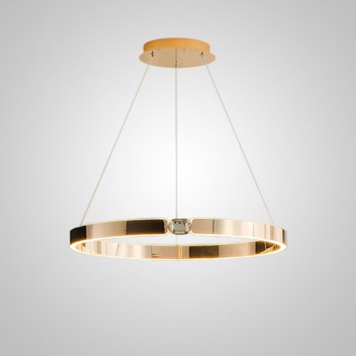 Подвесная люстра SELLIF RING D60 Brass ImperiumLoft 231756-23