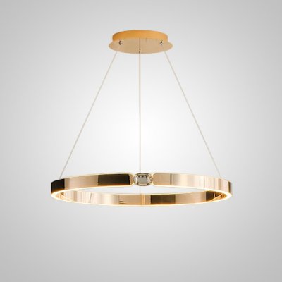 Подвесная люстра SELLIF RING D80 Brass ImperiumLoft 231757-23