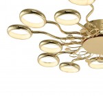 Потолочный светильник Favourite 2321-15C Dominium