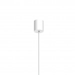 Люстра подвесная Favourite 2323-2P Duplex