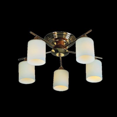 Светильник потолочный Mw light 261016905 Олимпия