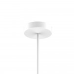 Люстра подвесная Favourite 2325-12P Duplex