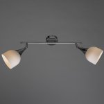 Светильник настенный Arte lamp A9556AP-2CC TRUMPET