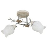 Потолочный светильник Экономсвет 2371LM/2CR+WT WT