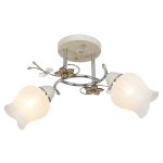 Потолочный светильник Экономсвет 2371LM/2CR+WT WT