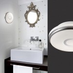 Светильник настенно-потолочный Odeon light 2401/3C IBRA