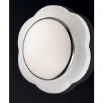 Настенно-потолочный светильник Odeon light 2403/2C BAHA