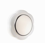 Настенно-потолочный светильник Odeon light 2403/2C BAHA