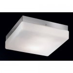 Настенно-потолочный светильник Odeon light 2406/1C HILL