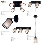 Светильник настенно-потолочный Citilux CL535511 Робин