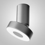 Потолочный точечный светильник STIR Silver ImperiumLoft 243338-26