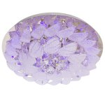 Потолочный светильник Экономсвет 2440/8+2CR RC RBPLED