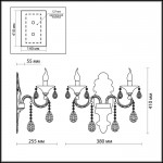 Светильник настенный бра Odeon light 2454/2W AVIORA