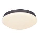 Потолочный светильник Favourite 2468-2C Ledante