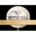 Светильник настенный бра Lumion 3052/1W CORSARO