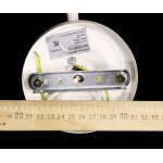 Настенный светильник бра Lumion 3265/1W BERENIS