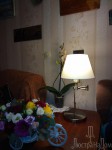 Настольная лампа Odeon light 2481/1T GEMENA