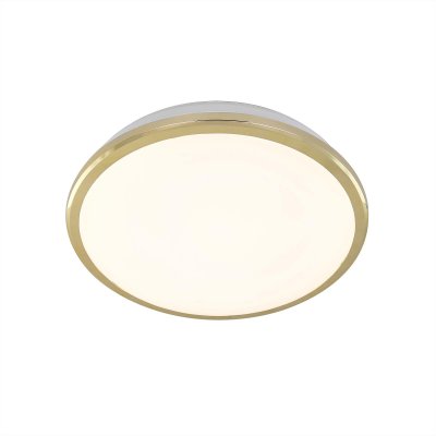 

Светильник настенно-потолочный Citilux CL702162W Луна, CL702162W