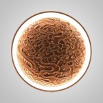 Настенный светодиодный светильник RODA WALL D50 Dark Brown ImperiumLoft 249145-26