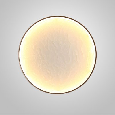 Настенный светодиодный светильник RODA WALL D40 Acrylic ImperiumLoft 249148-26