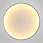 Настенный светодиодный светильник RODA WALL D80 Acrylic ImperiumLoft 249151-26